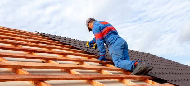 Sheet Metal Roofing in Rio Grande City, TX